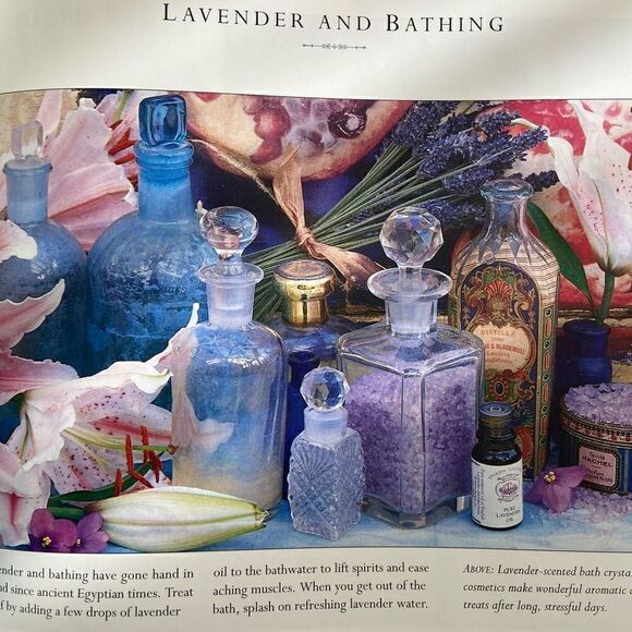 Lavender Practical Inspirations For Natural Gifts, Country Crafts & Decorative D - Picture 5 of 6